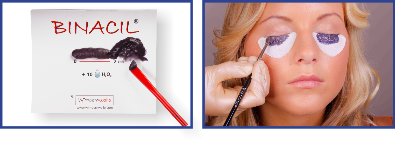 BINACIL System components BINACIL System components